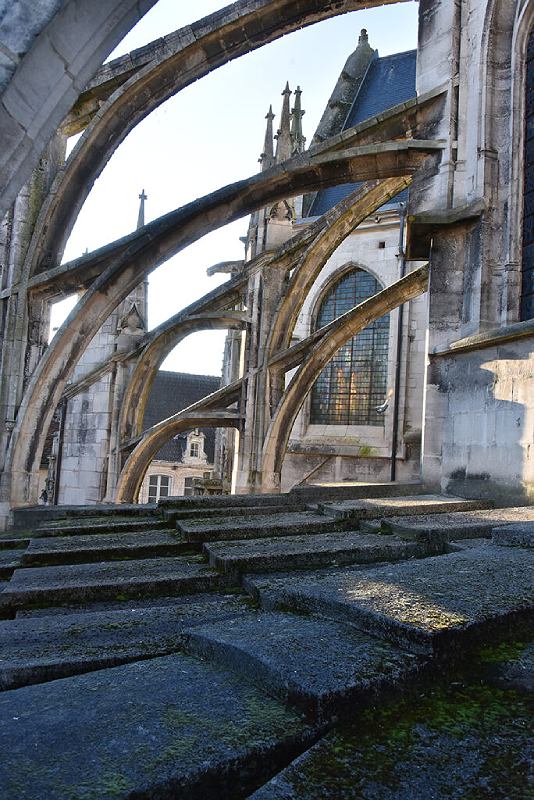 Restauration de la basilique : le chantier du siècle