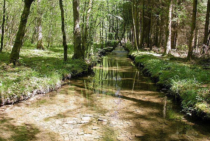 SOURCE DE L'AUBE, Auberive - photo 9