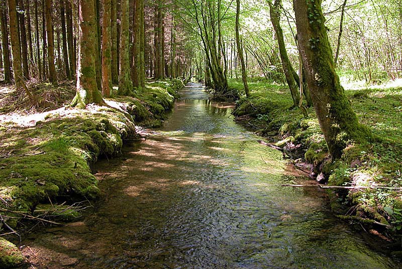 SOURCE DE L'AUBE, Auberive - photo 8