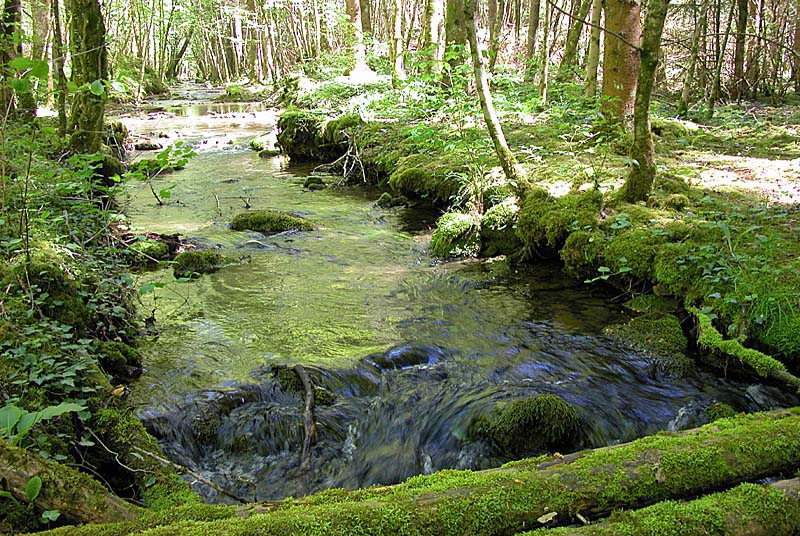 SOURCE DE L'AUBE, Auberive - photo 6