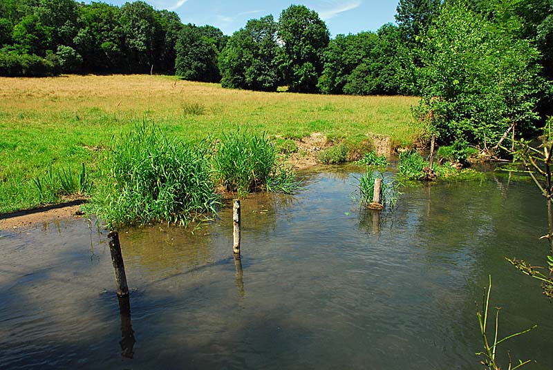 Vallèe de la Mouche, Noidant-le-Rocheux - photo 6