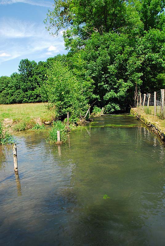 Vallèe de la Mouche, Noidant-le-Rocheux - photo 2