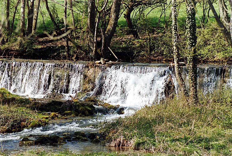 Vallèe de la Mouche, Noidant-le-Rocheux - photo 5