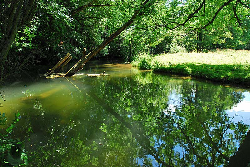 Vallèe de la Mouche, Noidant-le-Rocheux - photo 10