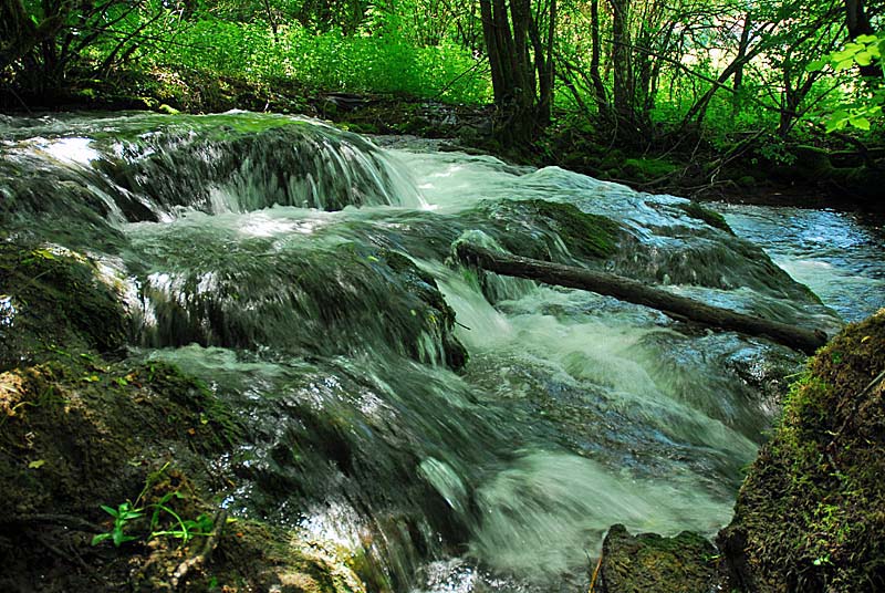Vallèe de la Mouche, Noidant-le-Rocheux - photo 4