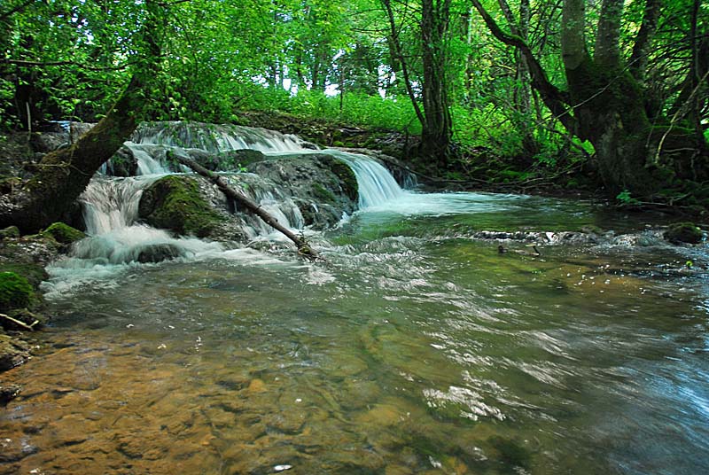 Vallèe de la Mouche, Noidant-le-Rocheux - photo 7