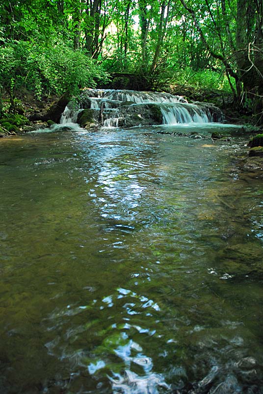 Vallèe de la Mouche, Noidant-le-Rocheux - photo 3