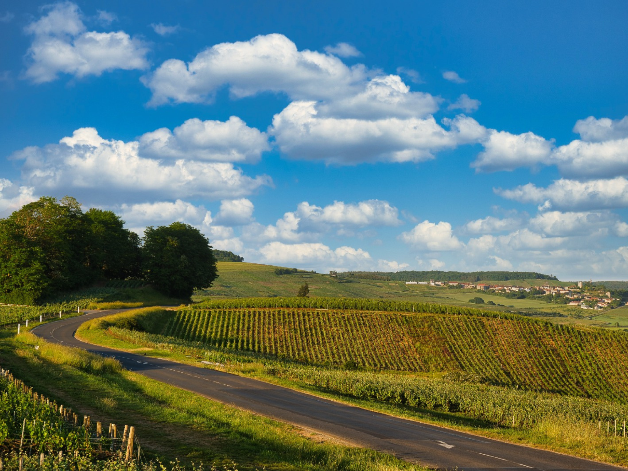 Road Trip en champagne