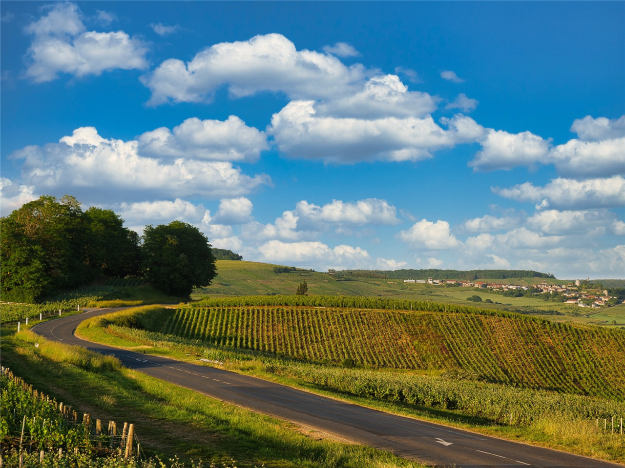 Road Trip en champagne