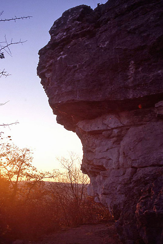 LA ROCHE BERNARD, Viéville - photo 2