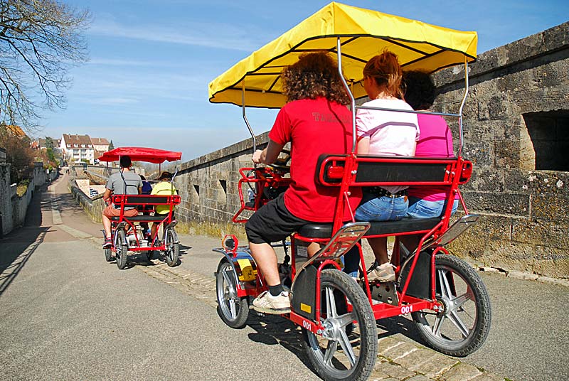 LOCATION DE ROSALIES A ASSISTANCE ELECTRIQUE A LANGRES