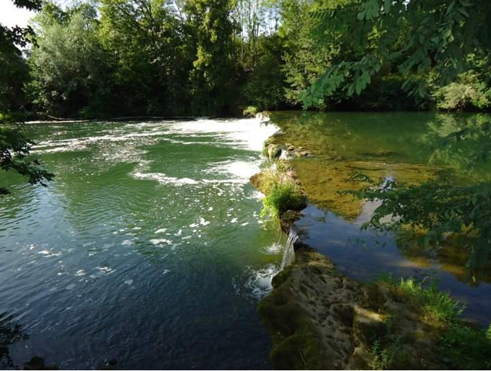 Les Amis de la Pêche — photo 2