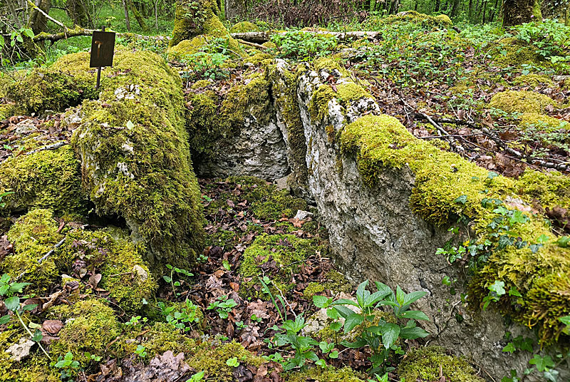 Circuit de découverte de la nécropole de fort Bévaux