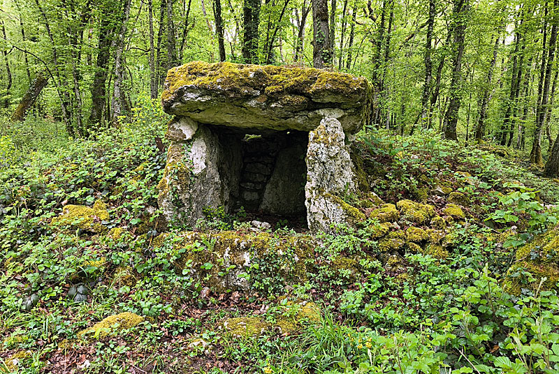SITE NEOLITHIQUE DE FORT BEVAUX