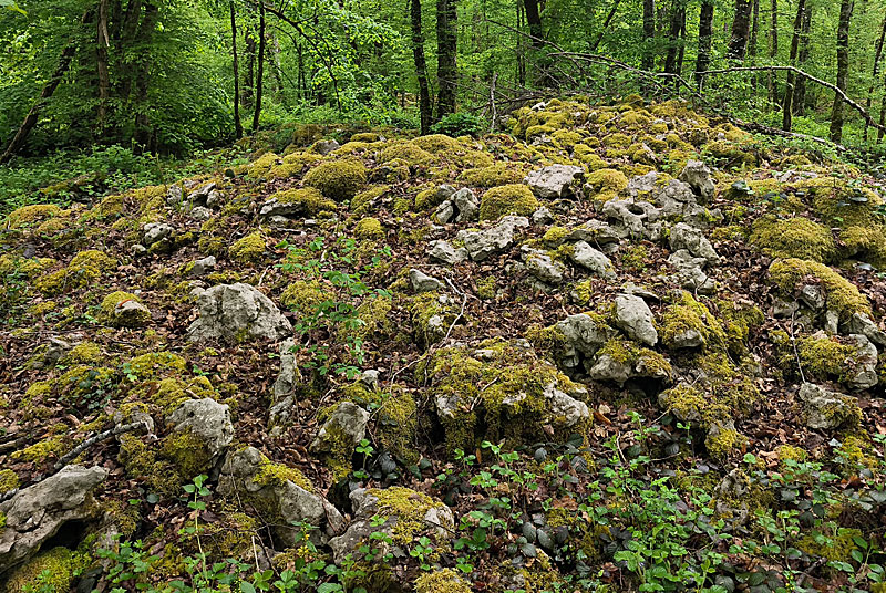 SITE NEOLITHIQUE DE FORT BEVAUX, Andelot-Blancheville - photo 5