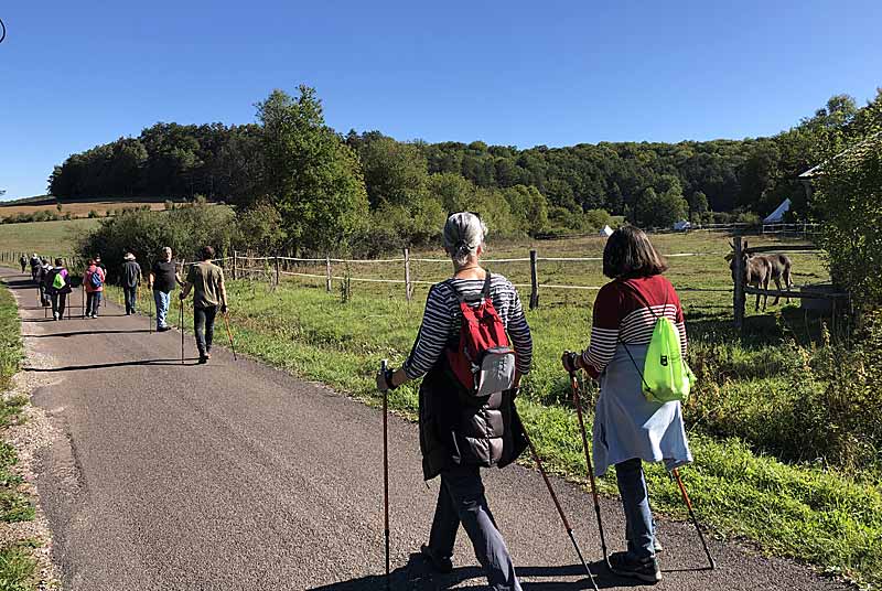 SO SPORTS NATURE - MARCHE NORDIQUE, Poinsenot - photo 8