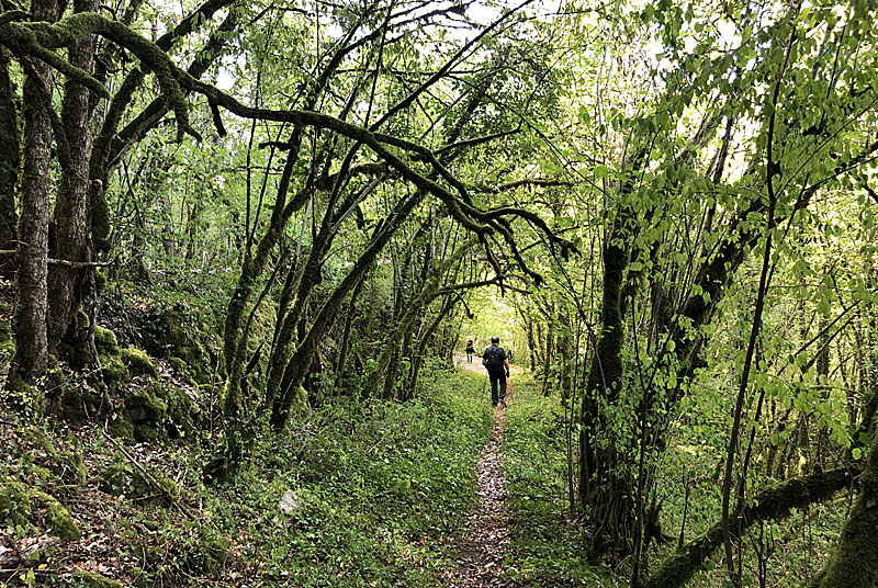 SO SPORTS NATURE - MARCHE NORDIQUE, Poinsenot - photo 9