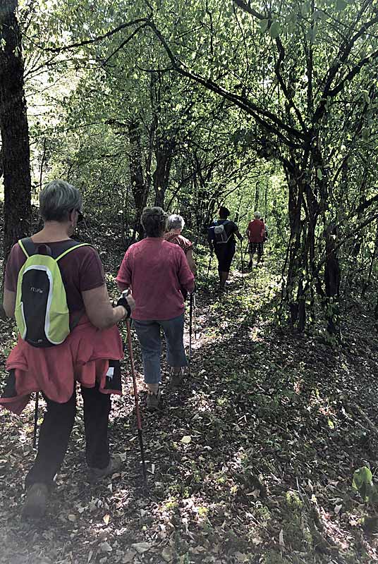 SO SPORTS NATURE - MARCHE NORDIQUE, Poinsenot - photo 5