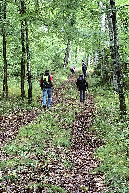 SO SPORTS NATURE - MARCHE NORDIQUE, Poinsenot - photo 7