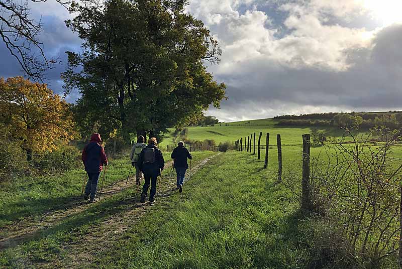 SO SPORTS NATURE - MARCHE NORDIQUE, Poinsenot - photo 6