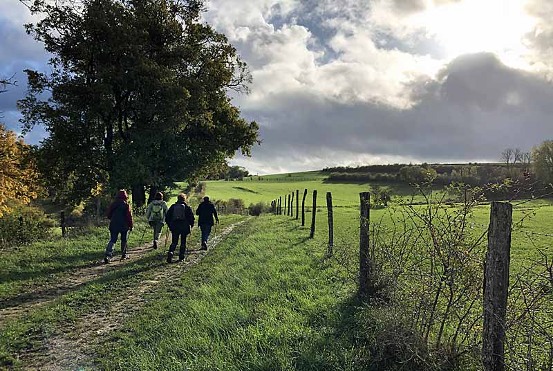 SO SPORTS NATURE - MARCHE NORDIQUE, Poinsenot