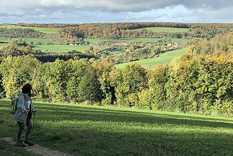 SO SPORTS NATURE - MARCHE NORDIQUE, Poinsenot - photo 4