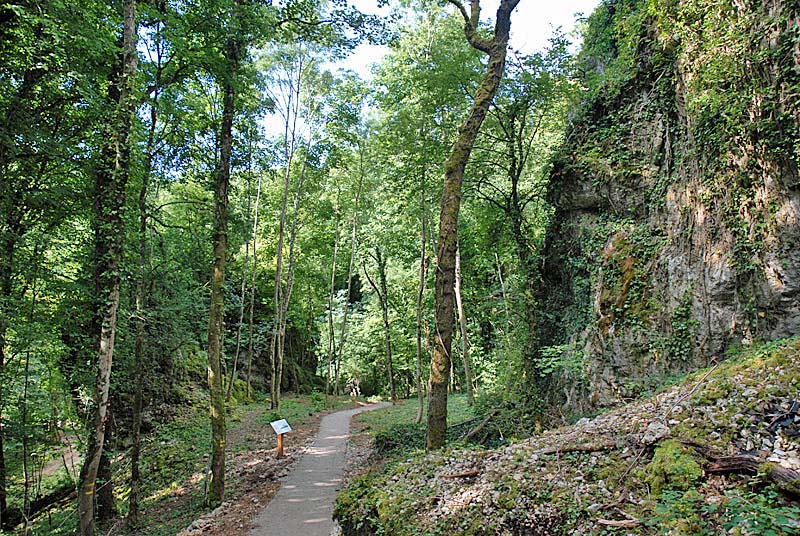 Source de la Marne, Saints-Geosmes - photo 8