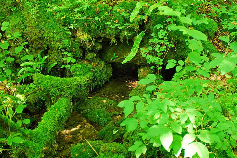 SOURCE DE LA MOUCHE, Noidant-le-Rocheux - photo 2