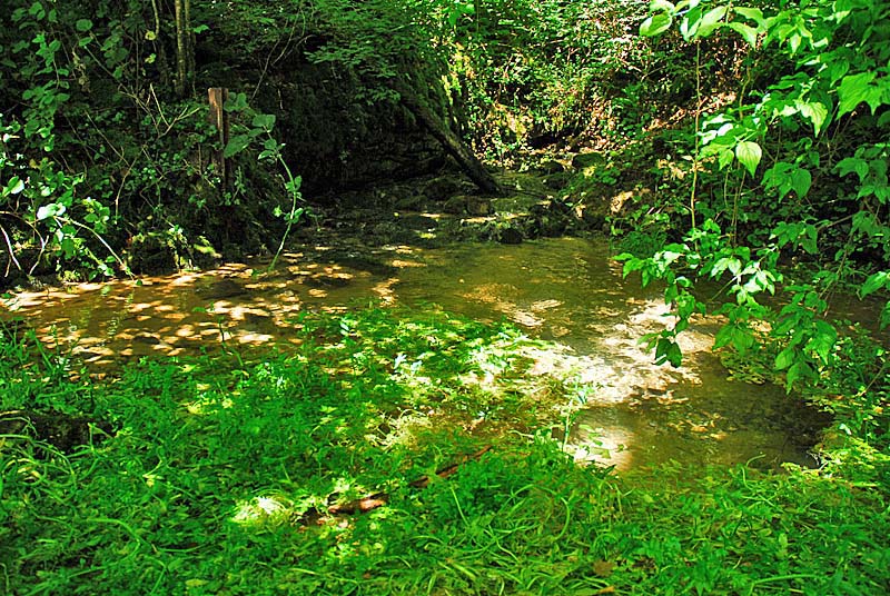 SOURCE DE SÉNANCE, Courcelles-en-Montagne - photo 3