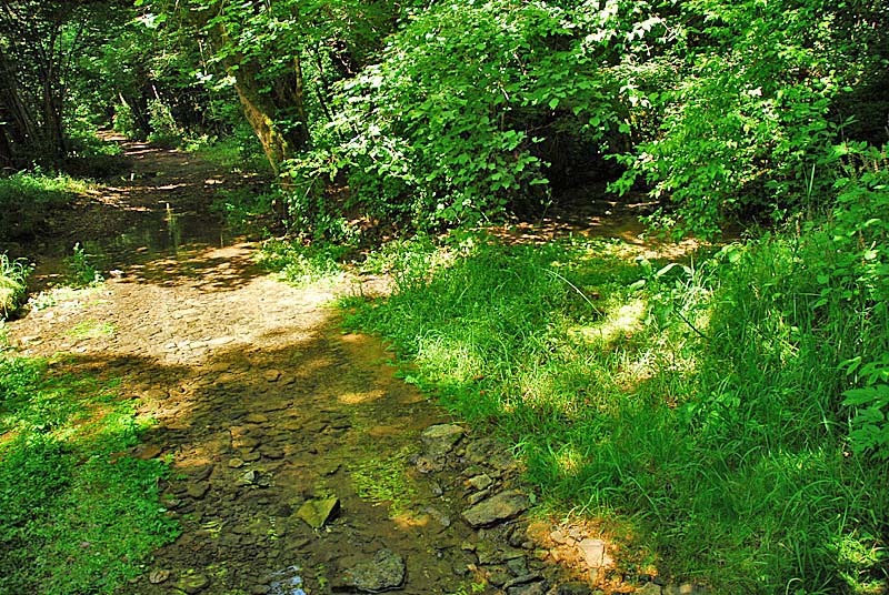 SOURCE DE SÉNANCE, Courcelles-en-Montagne - photo 2