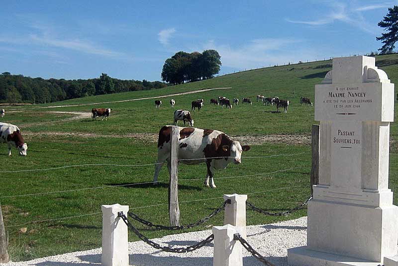 STELE DE MAXIME NANCEY
