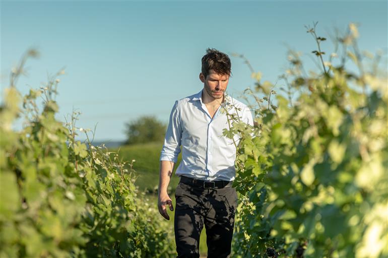 Thomas Lombard, Président, dans le Vignoble