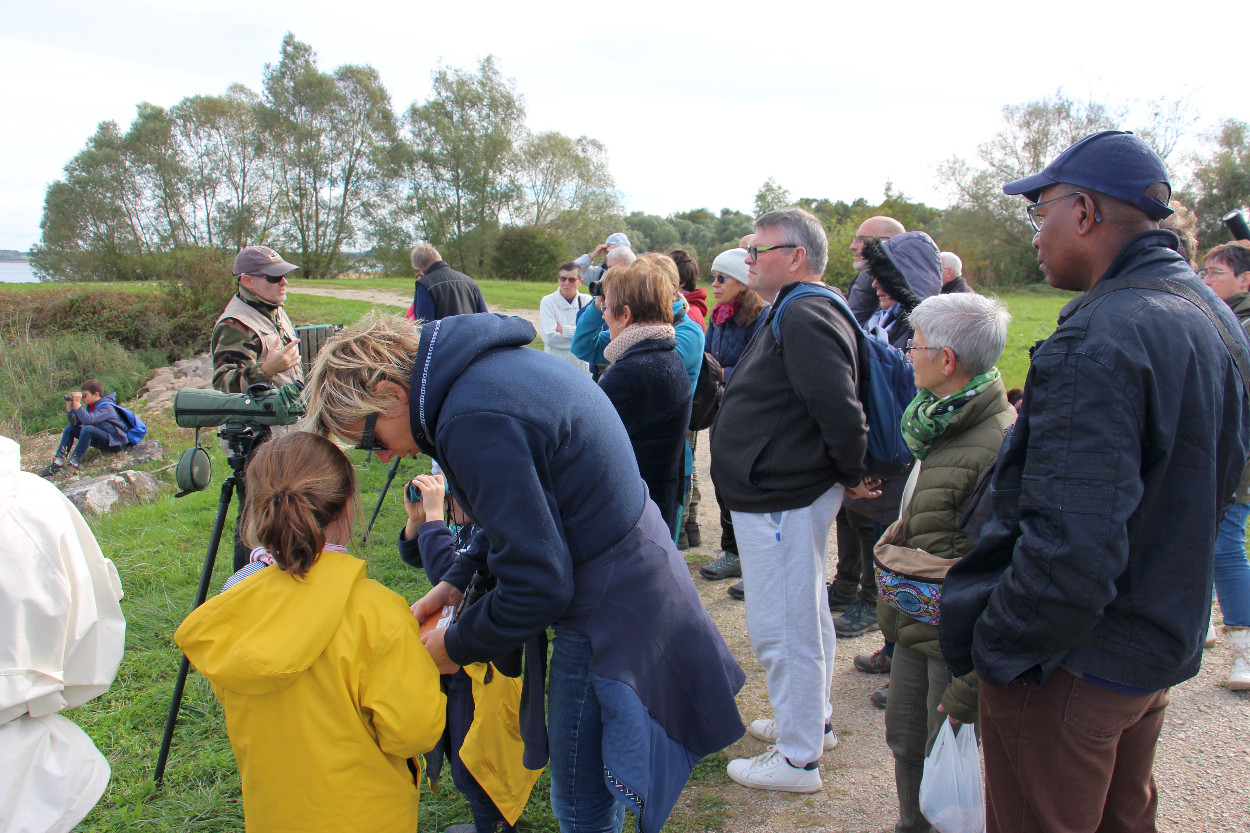 Train aux oiseaux, Giffaumont-Champaubert - photo 8