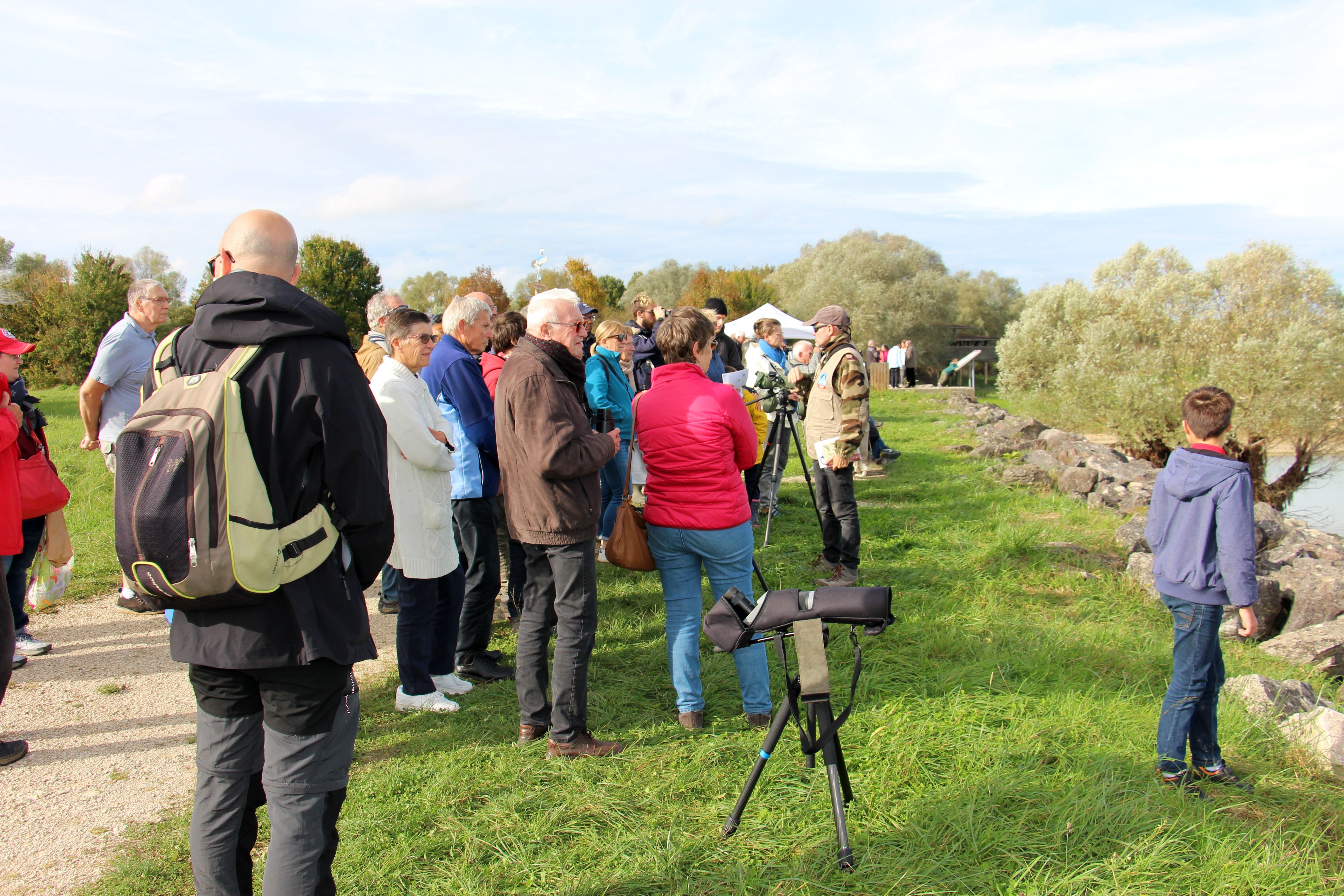 Train aux oiseaux, Giffaumont-Champaubert