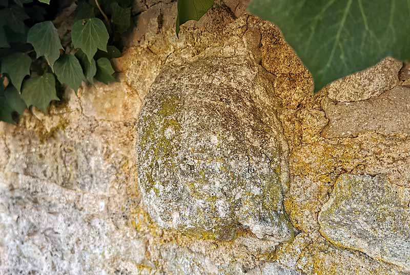 Tête sculptée en bossage à Musseau, Vals-des-Tilles - photo 3