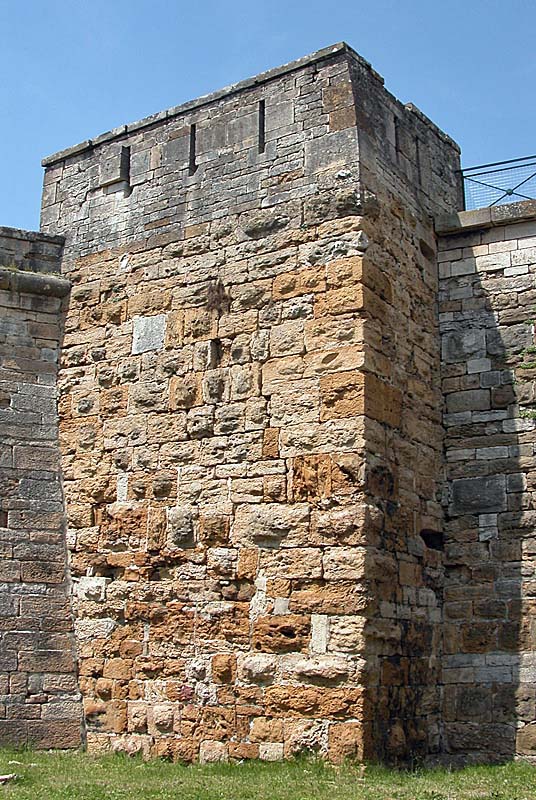 TOUR ROUGE ET PORTE DES AUGES, Langres - photo 5