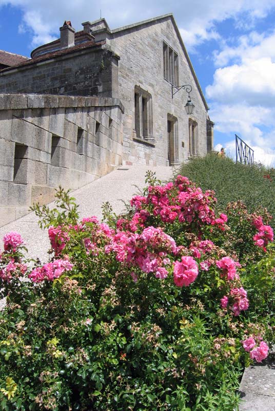 TOUR SAINT-JEAN OU SAINT-GENGOULPH, Langres - photo 6