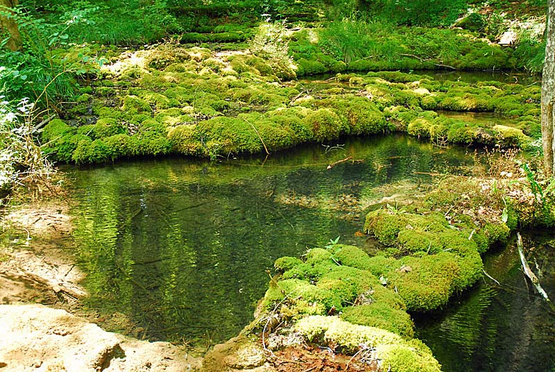 TUFIERE D'AMOREY, Auberive - photo 4