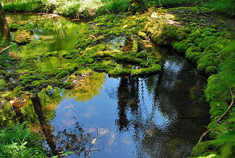 TUFIERE D'AMOREY, Auberive - photo 7