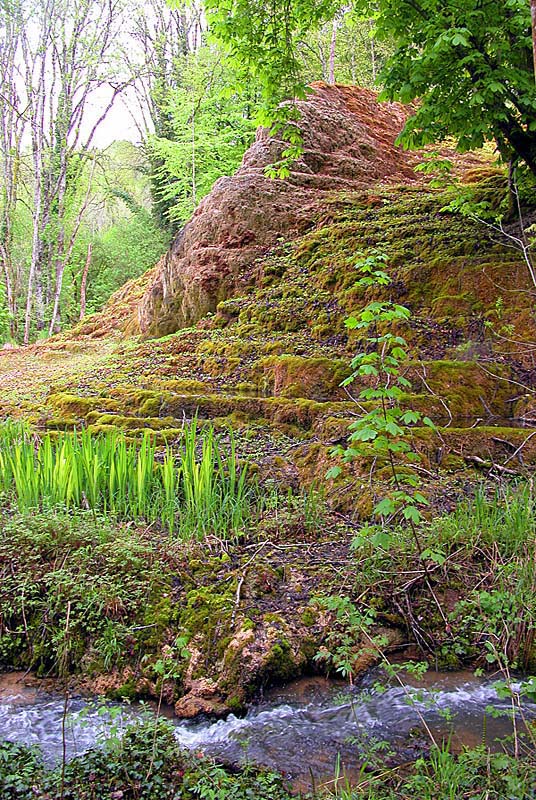 Tufière de Rolampont, Rolampont - photo 18