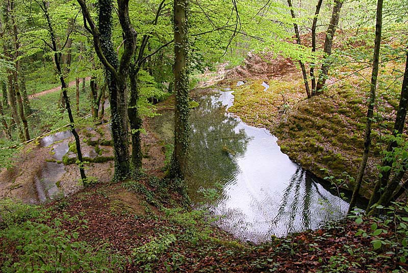 Tufière de Rolampont, Rolampont - photo 22