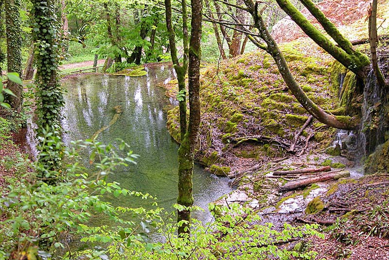 Tufière de Rolampont, Rolampont - photo 9
