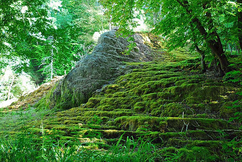 Tufière de Rolampont, Rolampont - photo 17