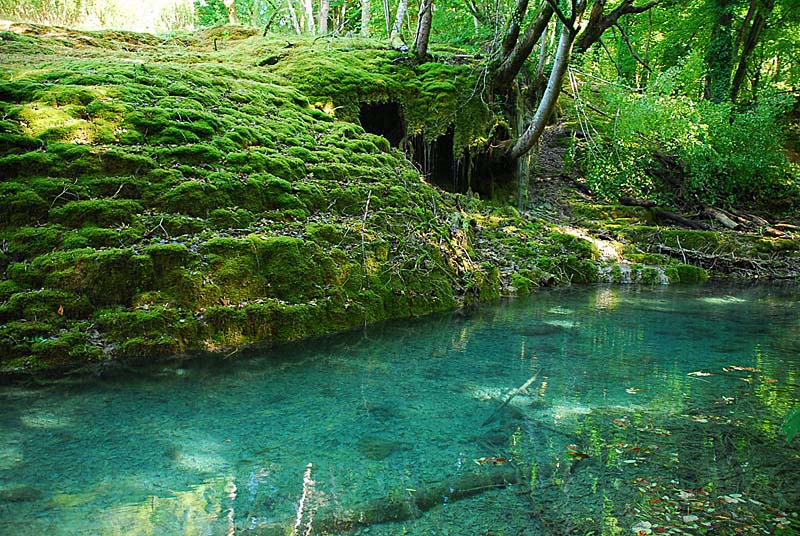 TUFIERE DE ROLAMPONT