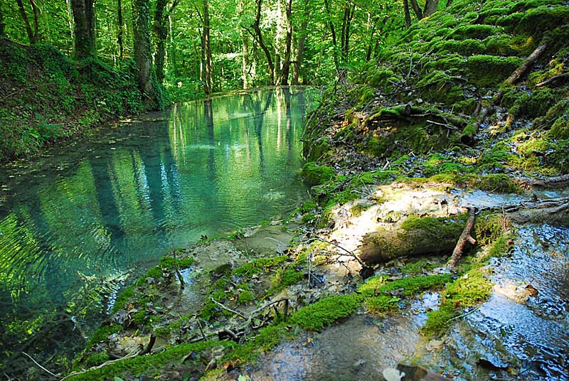 Tufière de Rolampont, Rolampont - photo 8