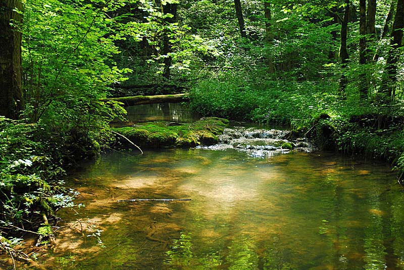 FORET, MARAIS ET PELOUSES DU VAL CLAVIN