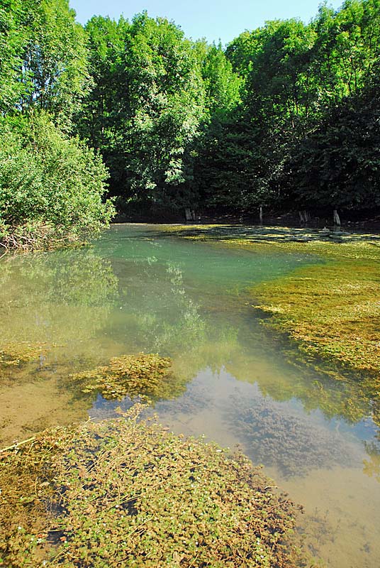 FORET, MARAIS ET PELOUSES DU VAL CLAVIN, Auberive