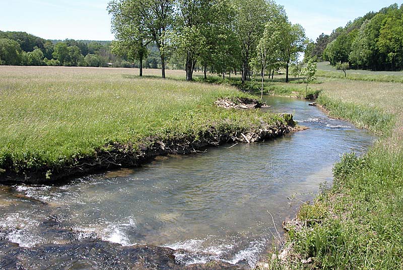VALLEE DE L'AUBE, Auberive - photo 4
