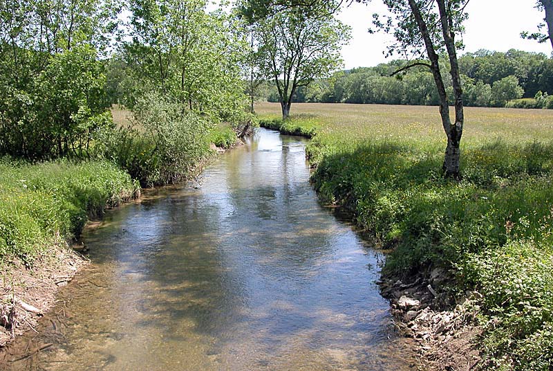 VALLEE DE L'AUBE, Auberive - photo 3