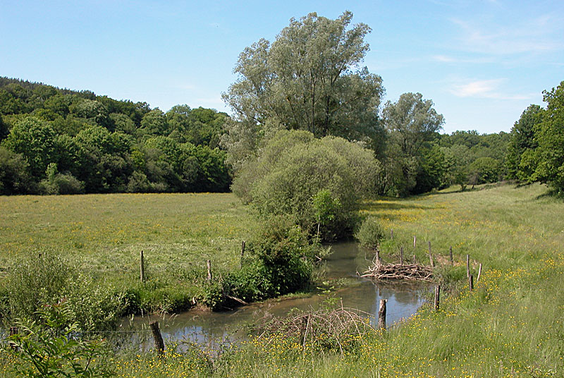 Vallée de l'Ource
